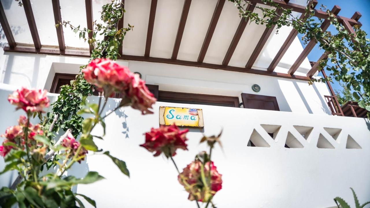 Maestralia Apartment Skyros Exterior photo